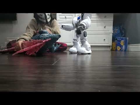 Godzilla vs Robot movie
