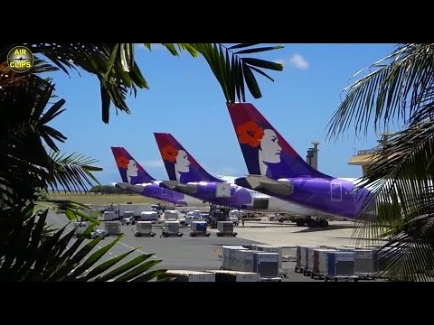 AMAZING Hawaiian A330 "First Class": 9:20 hrs DOMESTIC HNL to JFK!!! [AirClips full flight series]