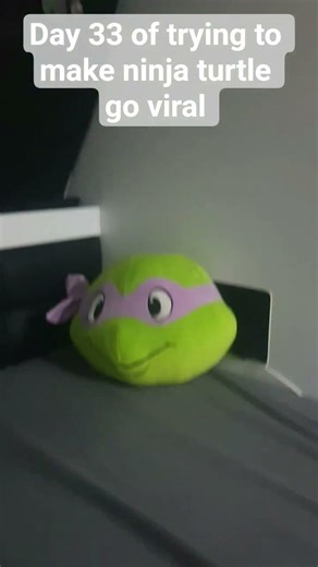day 33 of trying to make ninja turtle go viral