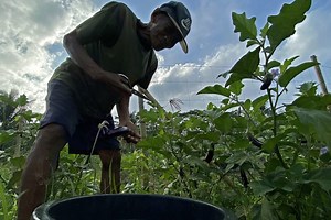 Best practices: 5 community projects barangay officials can replicate