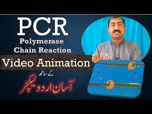 PCR (Polymerase Chain Reaction) Video Animation, Urdu Lecture