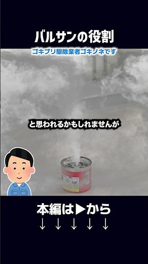 バルサンやアースレッドは即効性はピカイチです！【ゴキブリ対策】