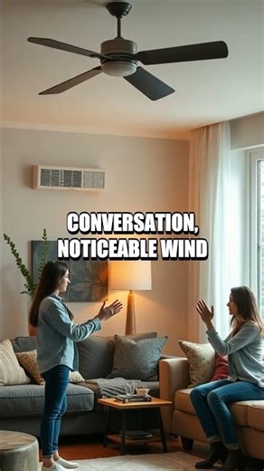 Real World Compact Purifier Comparison