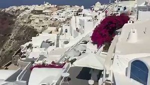 1.2K views · 65 reactions | The amazing Michelle Lewin flexing <3 | Fit Cuties | Facebook