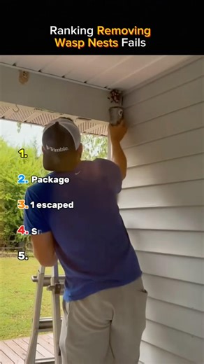Ranking Wasp Nests Removal Fails😱