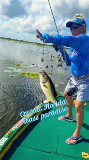Central Florida Summer Bass #smallwatercharters #floridabass #bassfishing
