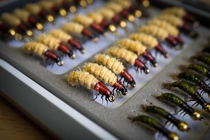 Realistic Caddis Larvae Flies With Fly Box - Hand-tied Jig Hooks - Etsy Australia