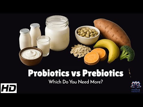 Probiotics vs Prebiotics: Which Do You Need More for Gut Health?