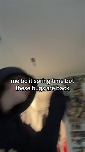 Springtime Humor: Dealing with Annoying Bugs