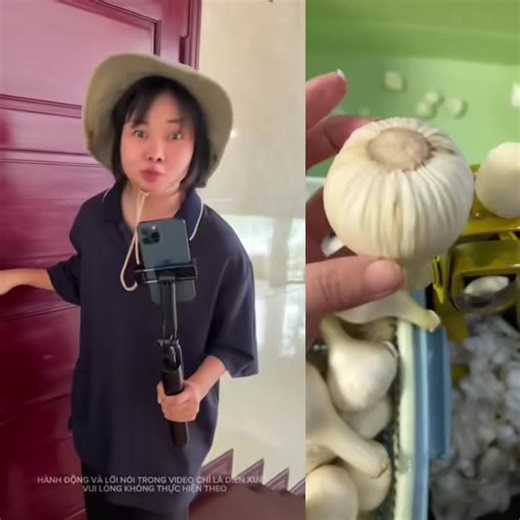 Cre: Thích Hương #XuHuongTikTok #fyp #xuhướng #giaitri #xuhuong #fypシ゚ #xybca #xh #xhhhhhhhhhhhhhhhhhhhhhhh #xhuonggggg🐰 #foryou