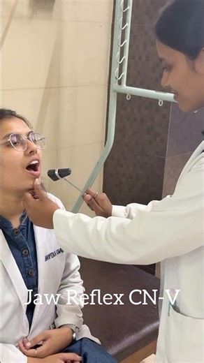 Deep Tendon Reflexes - Physios Edition 🔨🤌🏻 #medicalstudent #physiotherapy #shorts #ytshorts