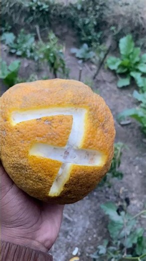 Fruit Carving Tutorial: How to Carve a Beautiful Number '7' Design #fruit #fruitcarving #shorts