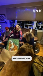 26K views · 66 reactions | Who else wants this present? ‍♀️ #christmas #holidays #presents #dogs #reels | Peachy | Facebook