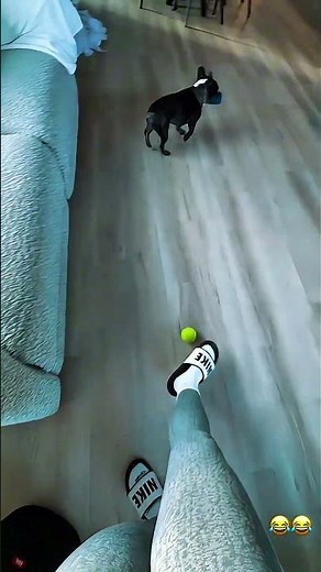 Game #lynnpianist #musician #pianist #zhurek #журек #adam