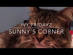 Camel Clutch Challenge