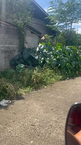 Target lock | Boss JV Vlog