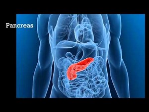 A Brief Introduction to Tissue Engineering