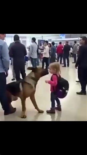 🔞Security Dog Started Barking at a Child’s Backpack—What Was Inside Made the Whole Airport Go Silent Watch: | Min Daa