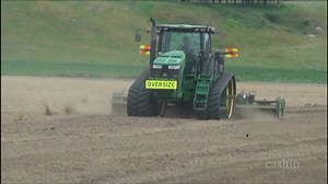 Kumara Planting nearly over on this farm on the way to Baylys Beach. | Photos of the Kauri Coast and Kaipara