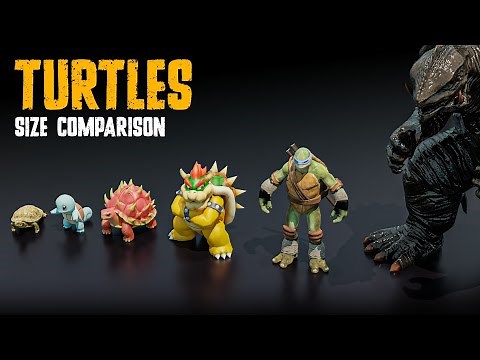 Turtle Size Comparison – Real, Extinct & Fictional