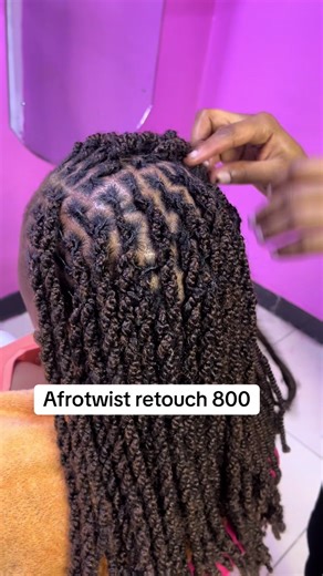 Protective Spring Twist Hairstyle for All Hair Types