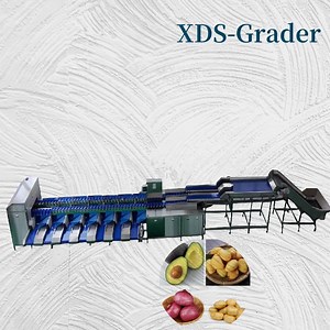[Hot Item] Fruit and Vegetable Dual-Channel Classification Machine, Integrating Weighing and Grading