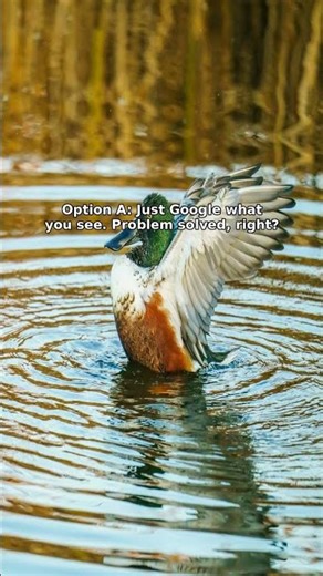 Found this in my barn—dangerous or harmless? · Found this in your barn. Dangerous or tot…