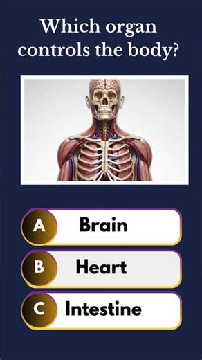 Which organ controls the body ? 🧠 Human Brain Facts #shorts#BiologyQuiz
