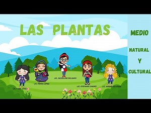 LAS PLANTAS - NIVEL INICIAL ( DE 4 A 5 AÑOS)