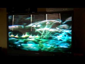 Trailers From Muppets From Space 1999 DVD (2005 reprint)