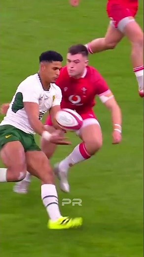 Springboks🇿🇦 vs Wales🏴󠁧󠁢󠁷󠁬󠁳󠁿 #rugby #springboks #bokrugby #boks #shorts