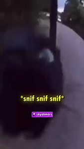 7.8K views · 316 reactions | historia de la lámpara | Skydimers | Facebook