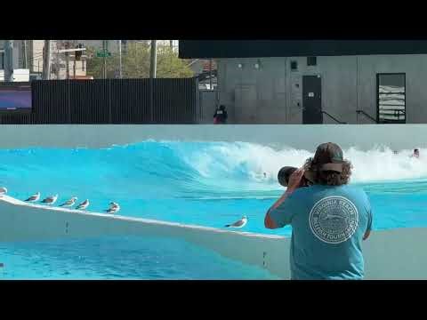 Surf's Up!
