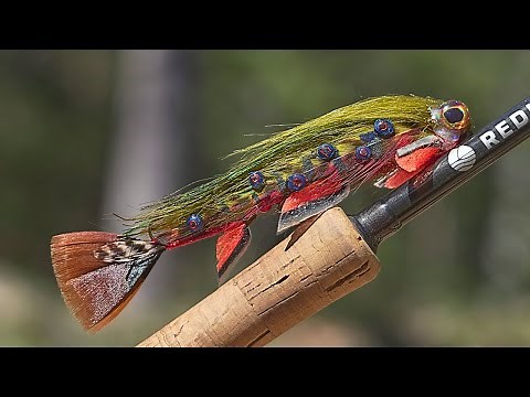 Making a Realistic Brook Trout Fly!