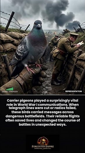When Pigeons Delivered Critical Messages During World War I