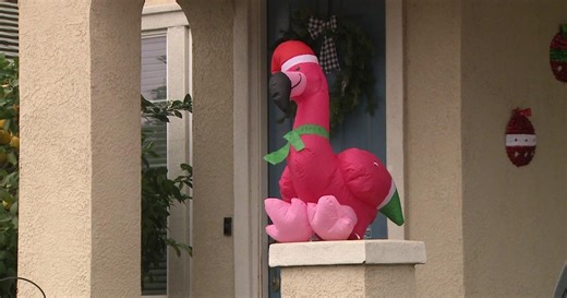 Game of Frank the Flamingo takes over Plumas Lake neighborhood