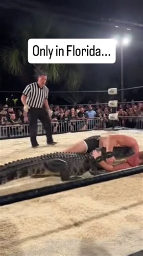 Only in Florida do you walk into what looks like a normal community event and end up watching a man wrestle a full sized alligator in the middle of a sand filled ring with a crowd cheering like they are at a championship fight. And honestly, only near Naples would people watch this with a cup of lemonade in one hand and a phone in the other like it is just another Friday night activity. Florida never warms you up. It throws you straight into the action and hopes you can keep up. The video starts
