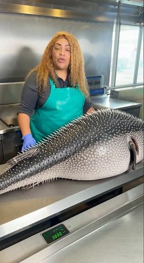“Marie really cooking a GIANT blowfish like it’s regular dinner 🐡🔥”