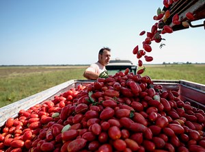 Mutti Professional | Mutti