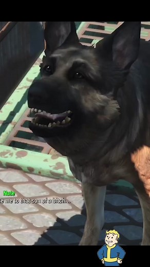 Evolution of Dogmeat in the Fallout Franchise