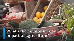 1.5K views · 35 reactions | Our agricultural systems are motivated by the need to feed more people and remain profitable. Farming is crucial to poverty alleviation and food security. But the industrial agriculture model does not give sufficient consideration to the strain that food production puts on the environment. | DW Environment | Facebook