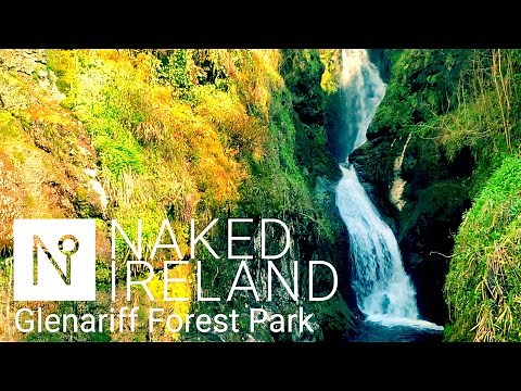 Beautiful Glenariff Forest Park in the heart of the stunning Glens of Antrim