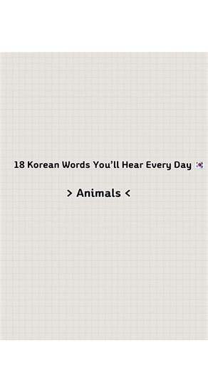 18 Korean Words You'll Hear Everyday - Animals 🇰🇷 #learnkorean #koreanvocab #koreanlanguage #koreanforbeginners #dailykorean