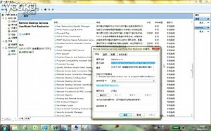 Remote Desktop Services UserMode Port Redirector