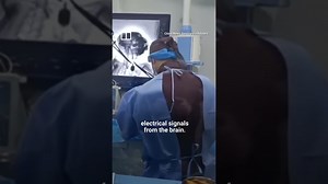 IN A MINUTE: Chinese study uses monkey brain signal to move robotic arm #shorts - The Global Herald