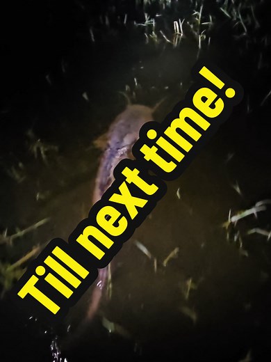 Red one (Pierre) on TikTok