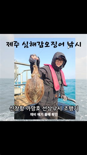 제주 심해갑오징어 낚시 채비 에기 물때 확인 신창항 까망호 선상낚시 조행기 #제주갑오징어낚시 #제주심해갑오징어낚시 #제주선상낚시 #심해갑오징어낚시 #제주까망호 #심해갑오징어에기
