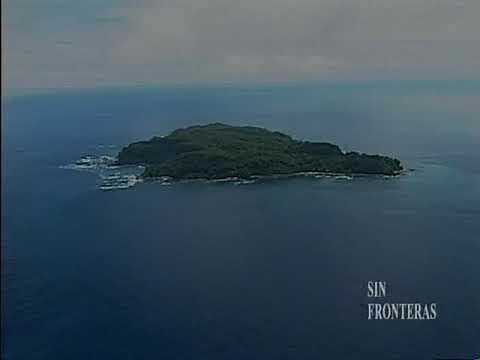 MIGRACION DE BALLENAS JOROBADAS