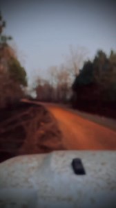 Driving down a Georgia dirt road through a recently burned pine forest. This controlled burn cleared out the underbrush, leaving behind blackened ground and charred tree trunks. A necessary step in forest management, but still an eerie sight. #ControlledBurn #ScorchedEarth #PineForest #DirtRoads #ForestManagement | Adventures Into History