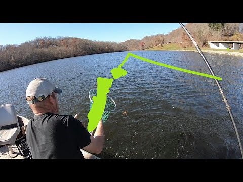 FISH to BIG for the NET! Piedmont Ohio Musky